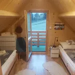 Apartment Pod Hajdowka *